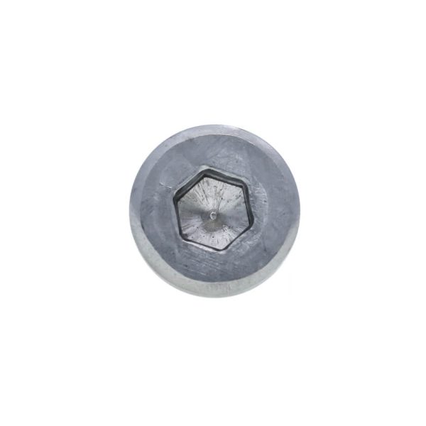 Socket Low Head Cap Screw DIN 7984 - Image 2