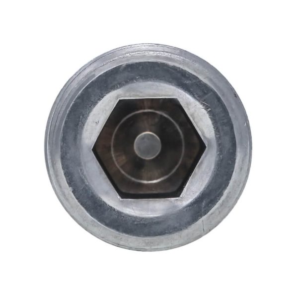 Socket Pipe Plug DIN 906 - Image 2